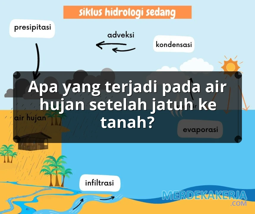 Apa yang terjadi pada air hujan setelah jatuh ke tanah?