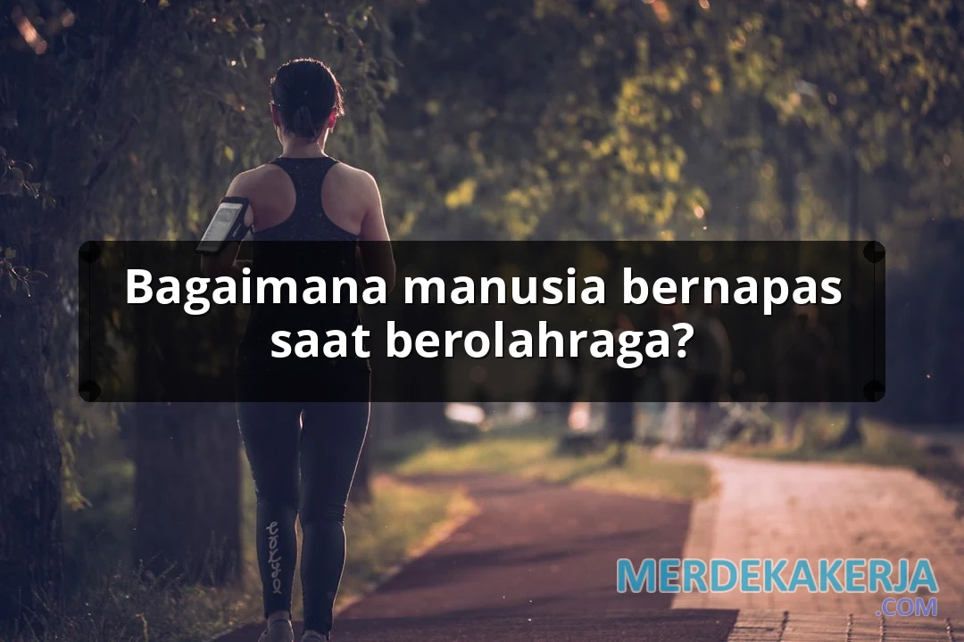 Bagaimana manusia bernapas saat berolahraga?