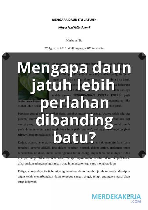Mengapa daun jatuh lebih perlahan dibanding batu?