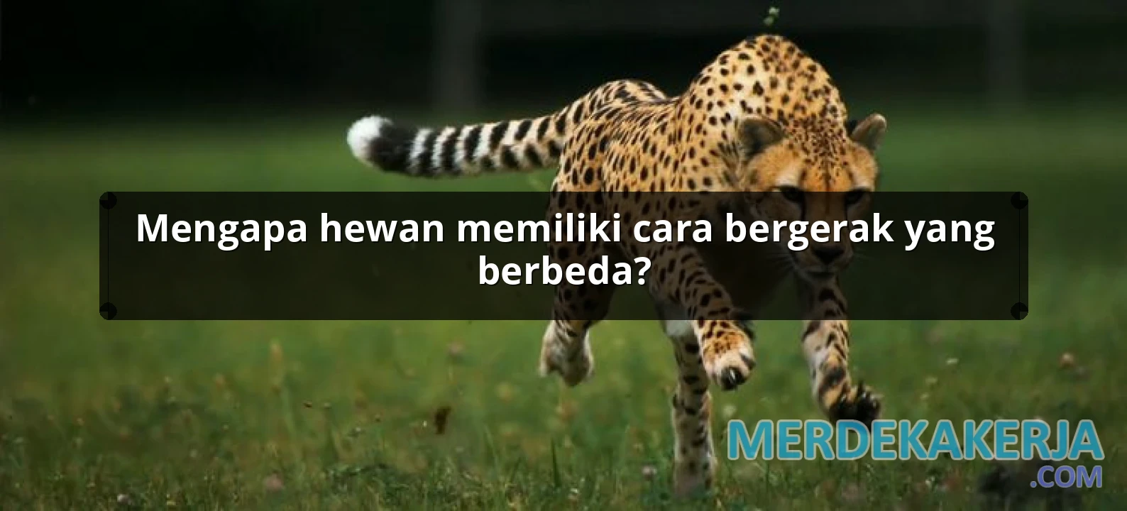 Mengapa hewan memiliki cara bergerak yang berbeda?