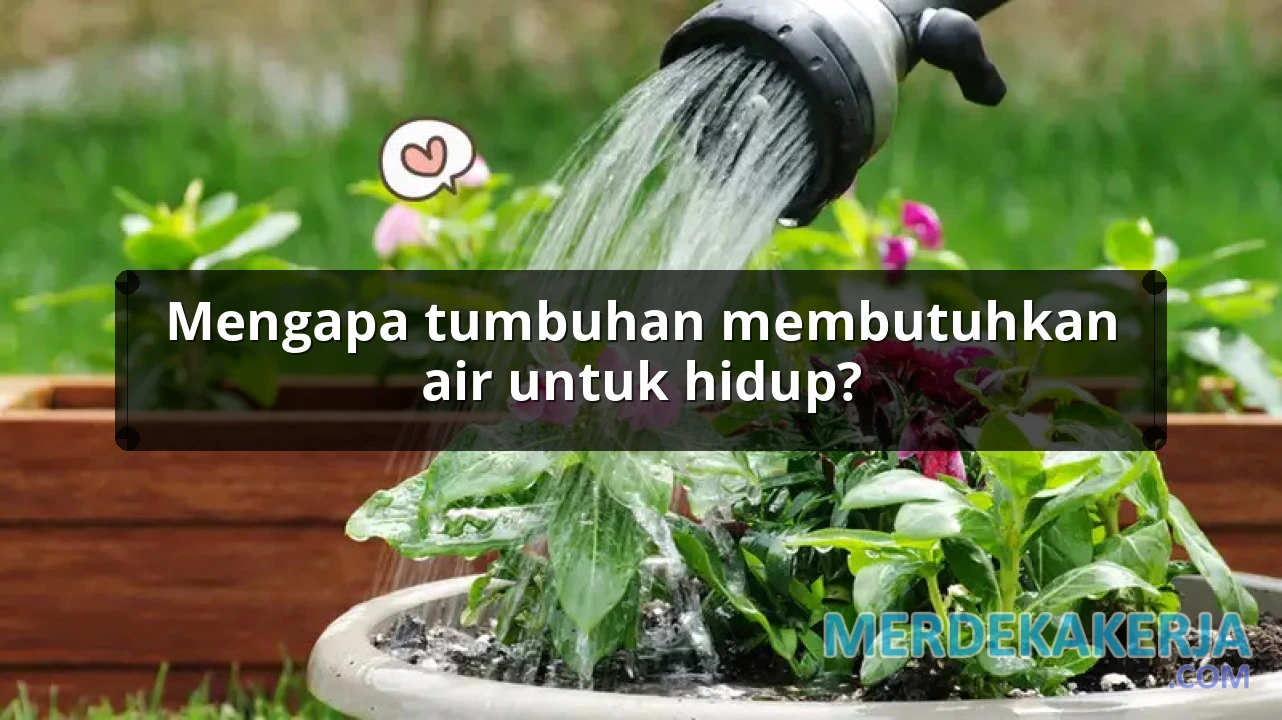 Mengapa tumbuhan membutuhkan air untuk hidup?