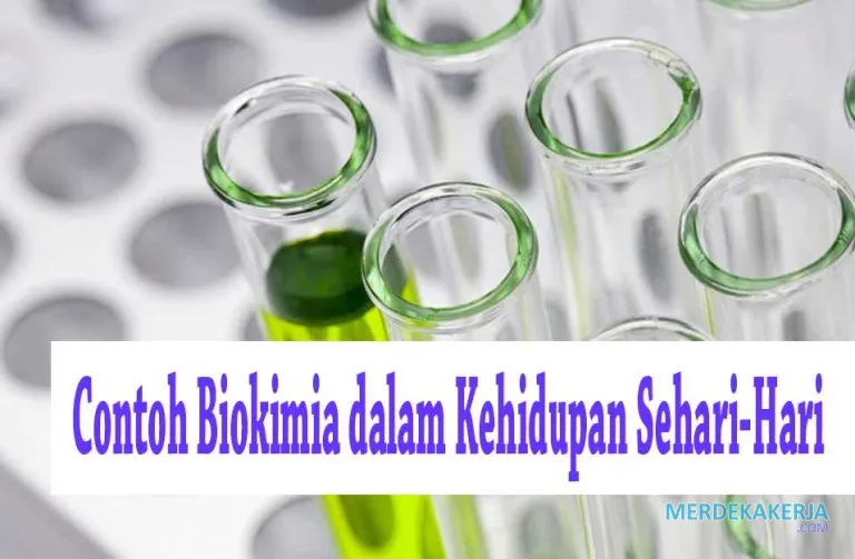 Biokimia: Kimia kehidupan dalam sel Biokimia: Kimia kehidupan dalam sel