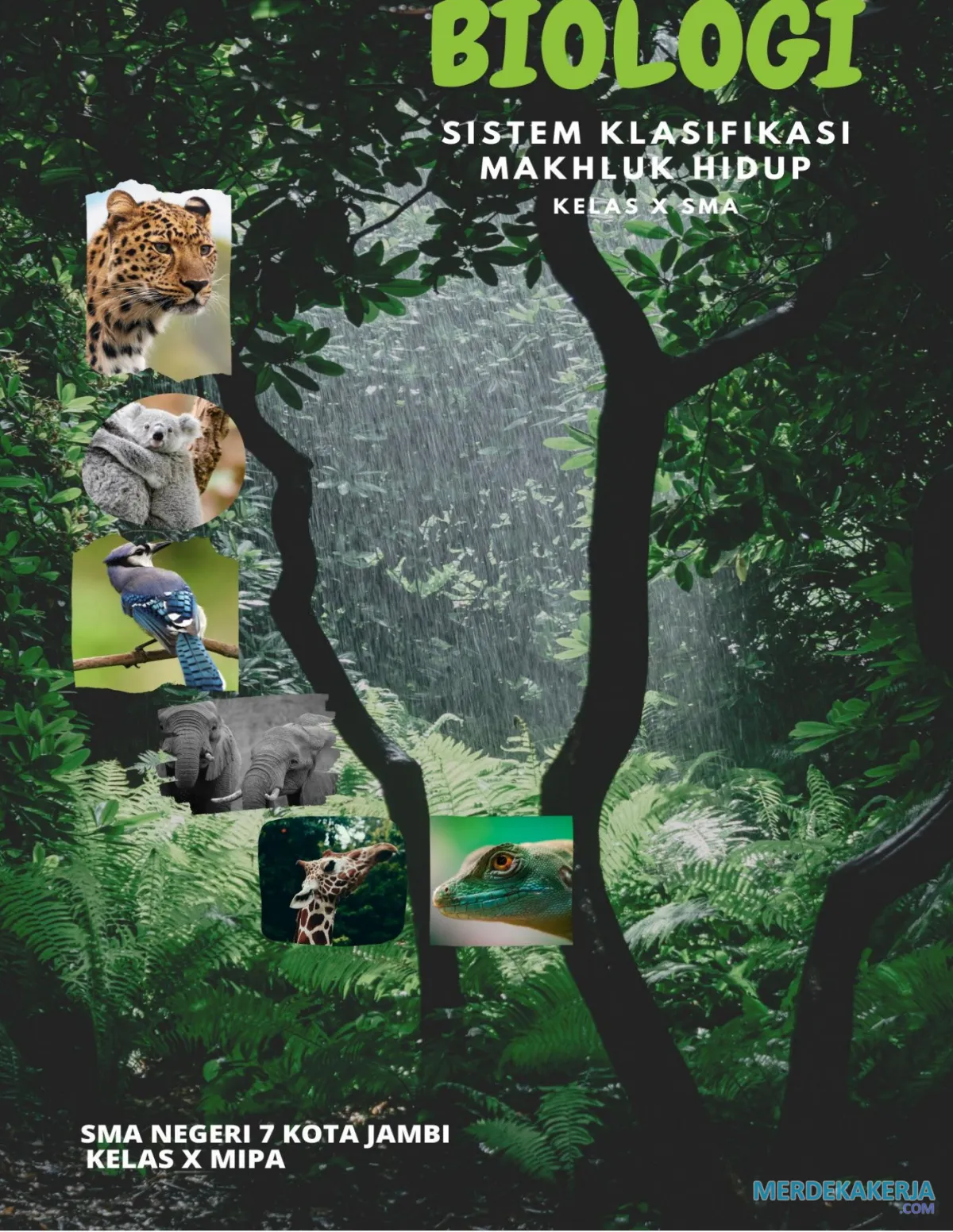 Cara ilmiah mengklasifikasikan makhluk hidup modern