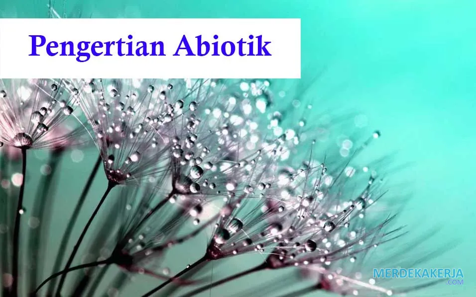 Faktor abiotik penentu kehidupan Faktor abiotik penentu kehidupan