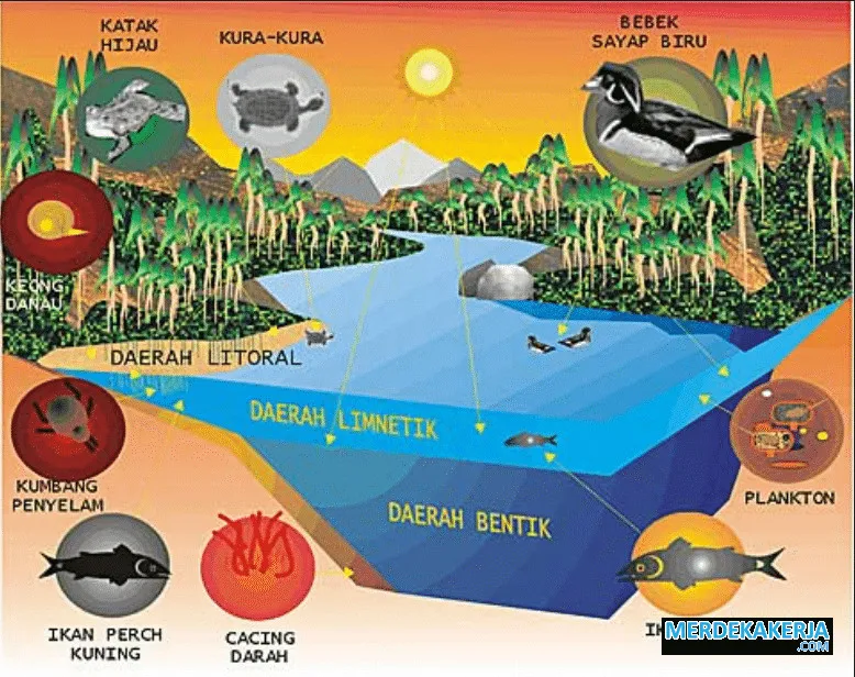 Faktor biotik dalam keberlangsungan hidup