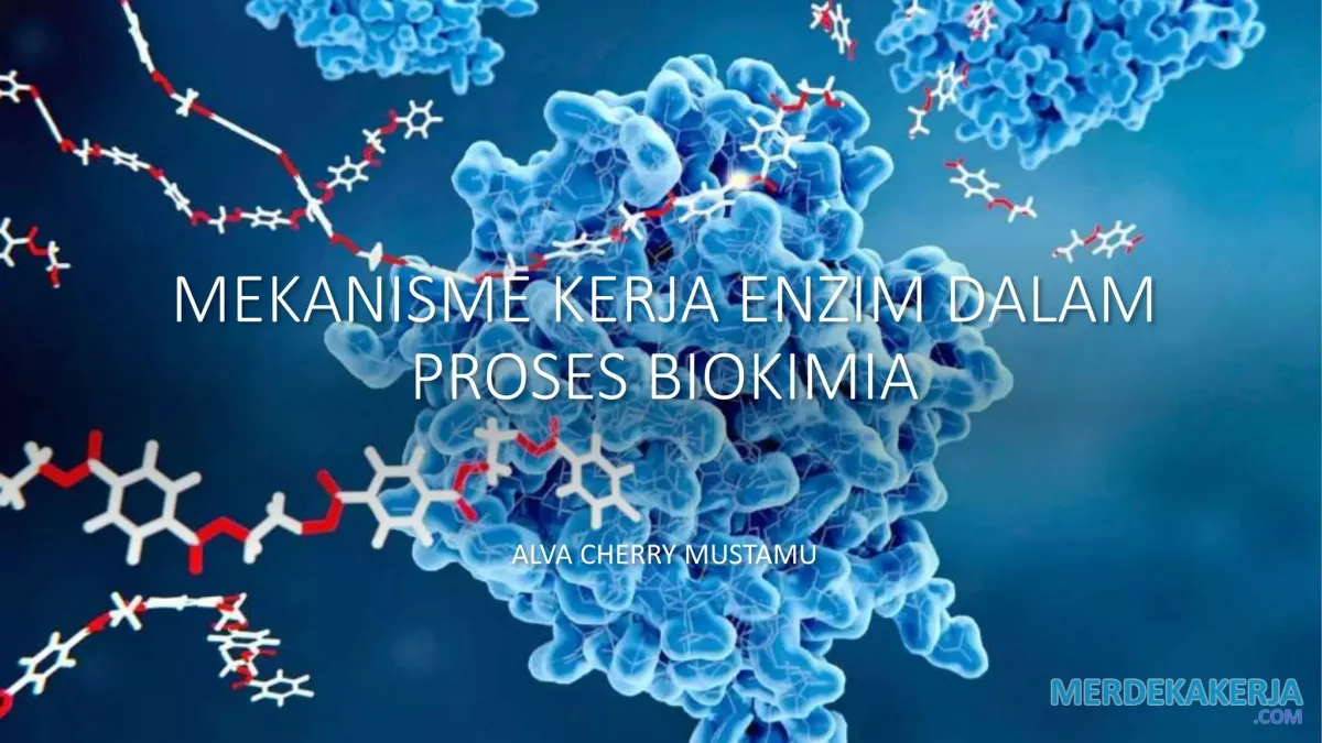 Peran enzim dalam reaksi biokimia.