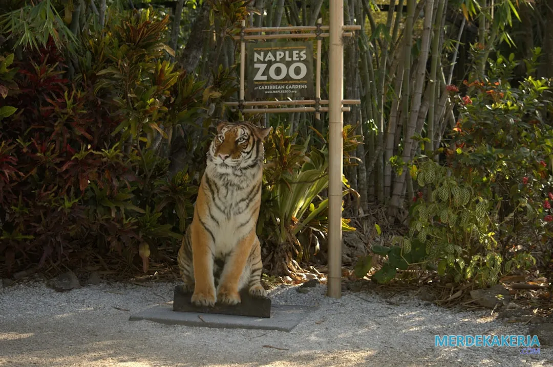 Pengertian Zoologi: Ilmu tentang hewan dan kehidupannya. Pengertian Zoologi: Ilmu tentang hewan dan kehidupannya.